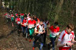 VITTORIO VENETO E IL CANSIGLIO ASPETTANO L