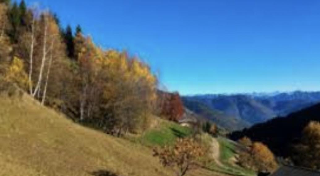 CONSIGLIO FEDERALE FISO