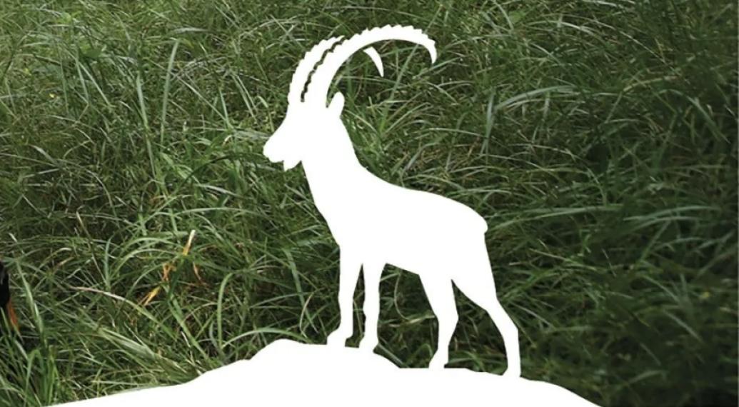 C-O: DAL 27 AL 30 MAGGIO SI PREPARANO I MONDIALI IN SVIZZERA 