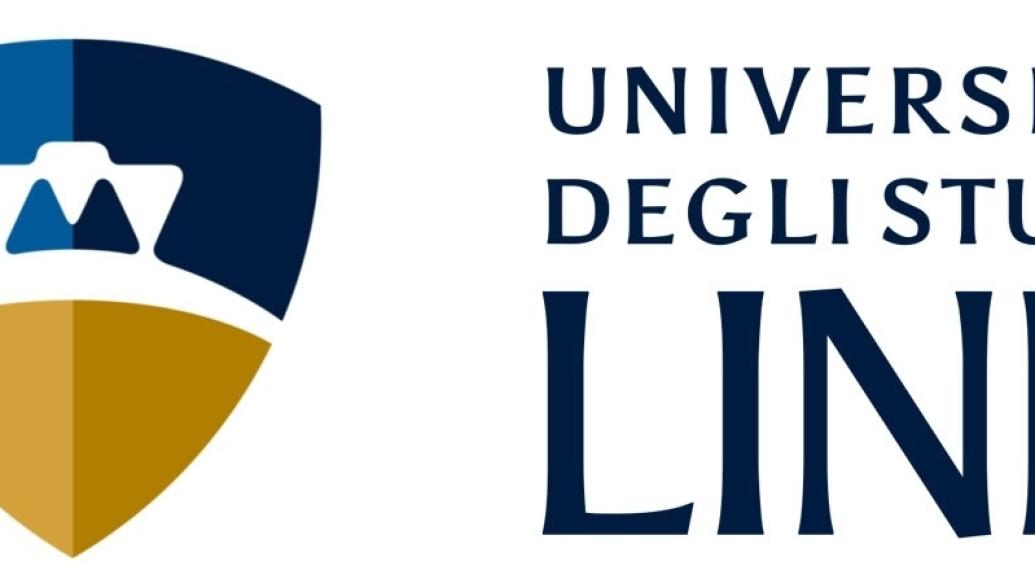 LE BORSE DI STUDIO LINK CAMPUS UNIVERSITY. CHI PUO