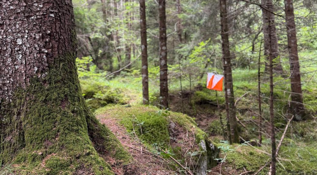 C-O: IN VALGIARDINI VINCONO BETTEGA E KIRCHLECHNER 